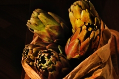 Expo_009