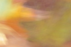 Autunno