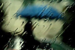 SONY DSC