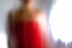 SONY DSC
