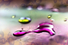 Saveriani_014