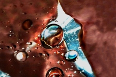 Saveriani_019