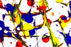Saveriani_021