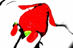 Saveriani_029