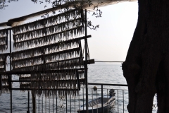 MonteIsola_019
